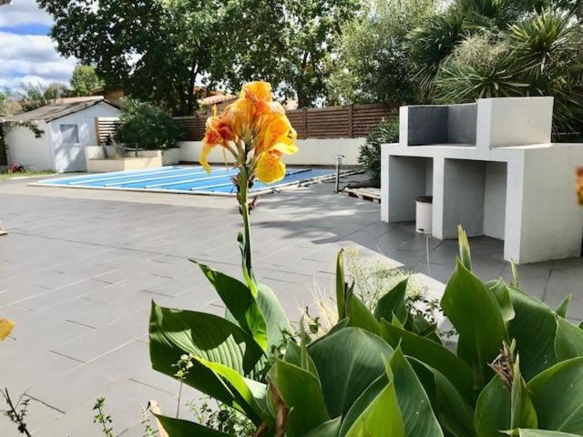 Maison Piscine 4 Ch Carcans Medoc Bassin Arcachon Экстерьер фото