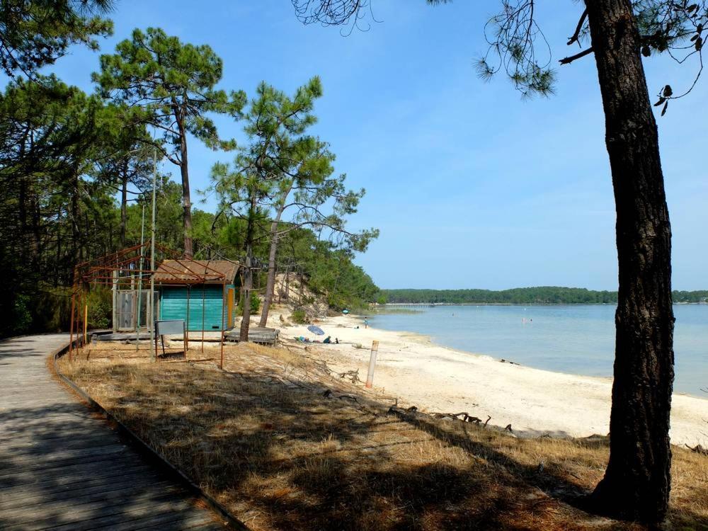 Maison Piscine 4 Ch Carcans Medoc Bassin Arcachon Экстерьер фото