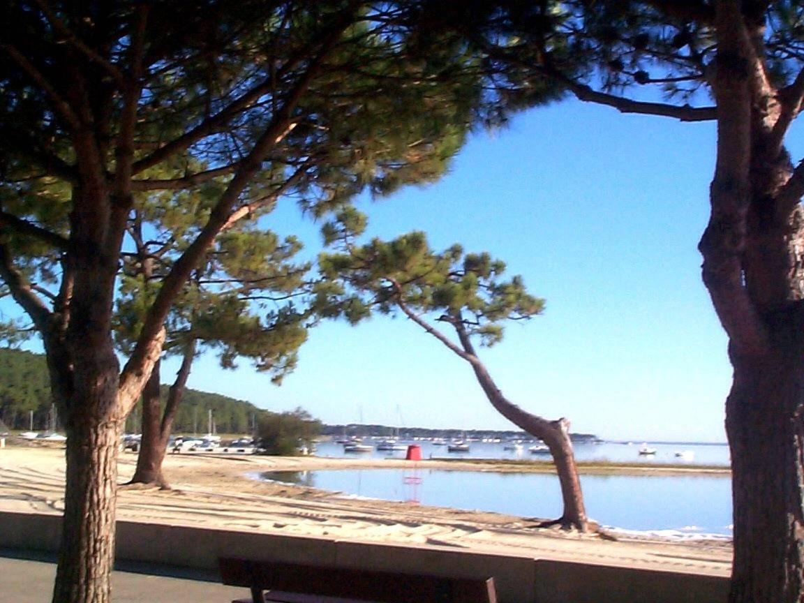 Maison Piscine 4 Ch Carcans Medoc Bassin Arcachon Экстерьер фото