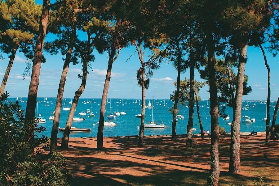 Maison Piscine 4 Ch Carcans Medoc Bassin Arcachon Экстерьер фото